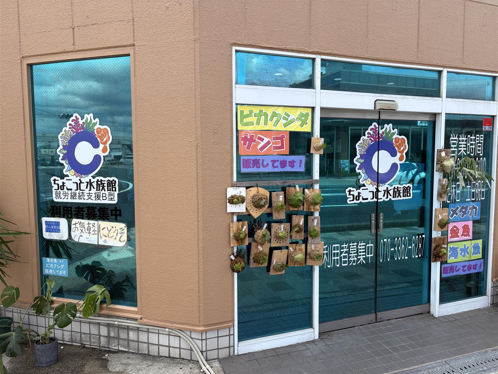 ちょこっと水族館 西宮店の外観